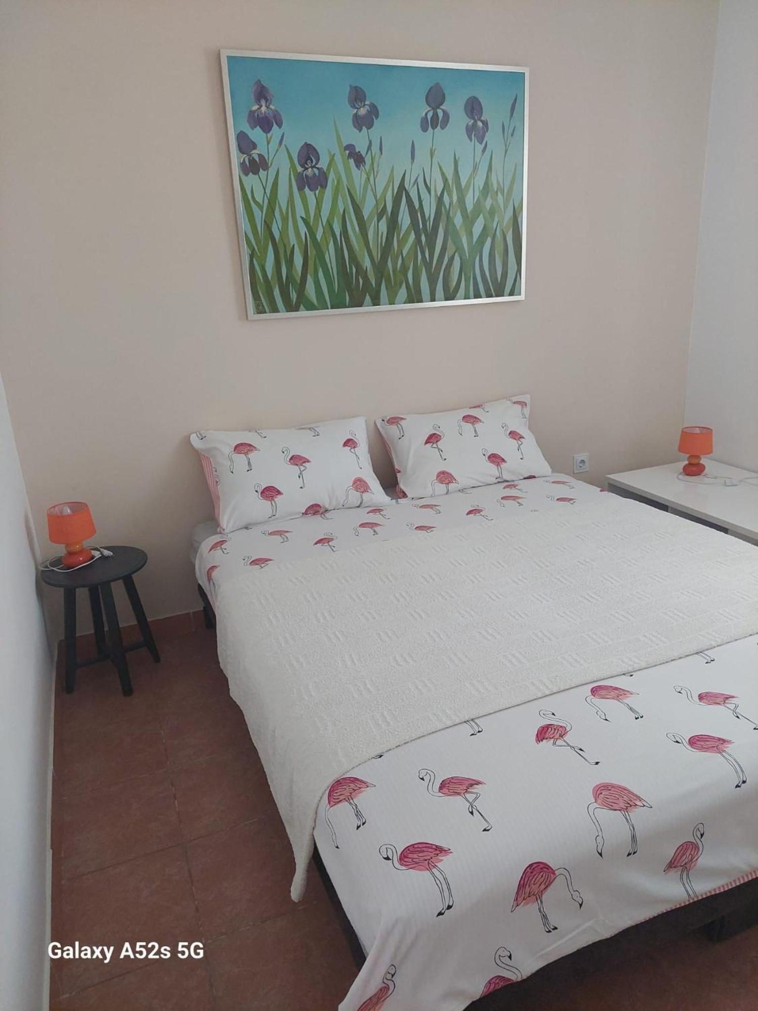 Apartments Pimpinella Премантура Екстериор снимка